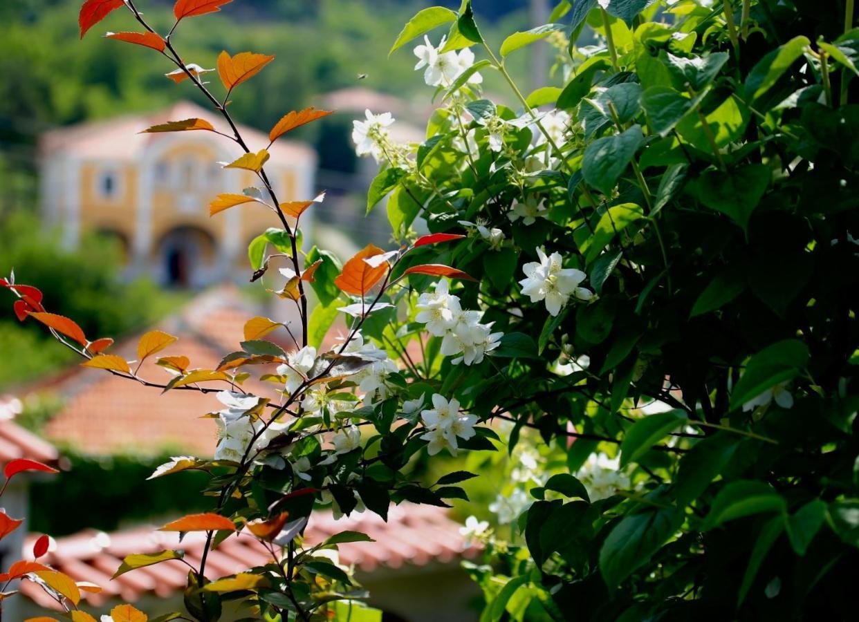 فندق Iliikova House كالوفر المظهر الخارجي الصورة